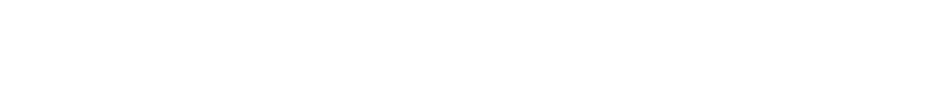 logo solo scritta devercelli 450 px bianco